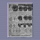 Catalog Page S1927 p. 490 Baseball equipment. 1927Spring490
